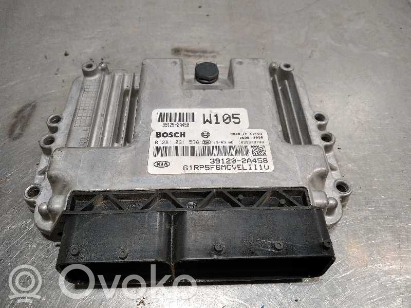 Engine control unit/module   0281031538,391202A458