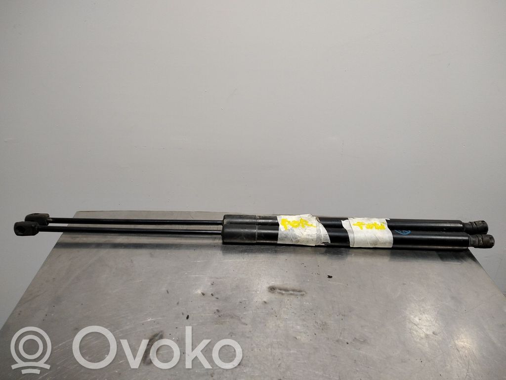 Tailgate/trunk strut/damper   595CM