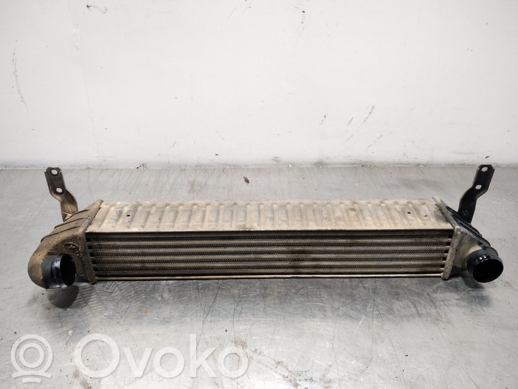 Seat Alhambra (Mk1) Intercooler radiator 