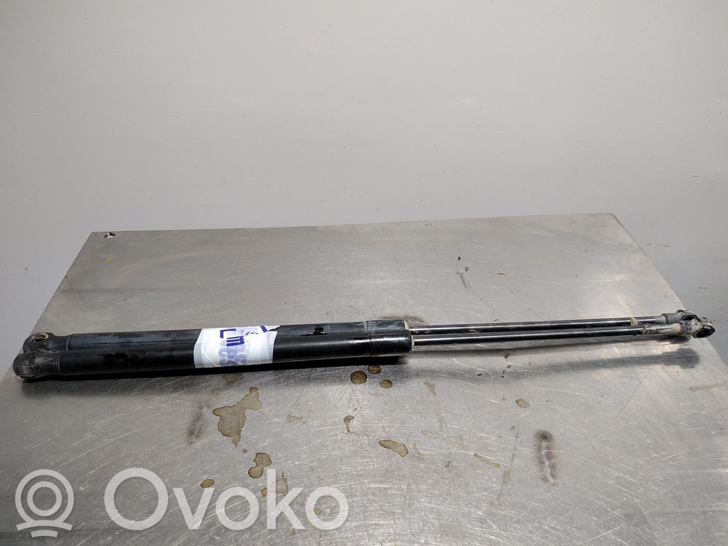 Tailgate/trunk strut/damper   495CM