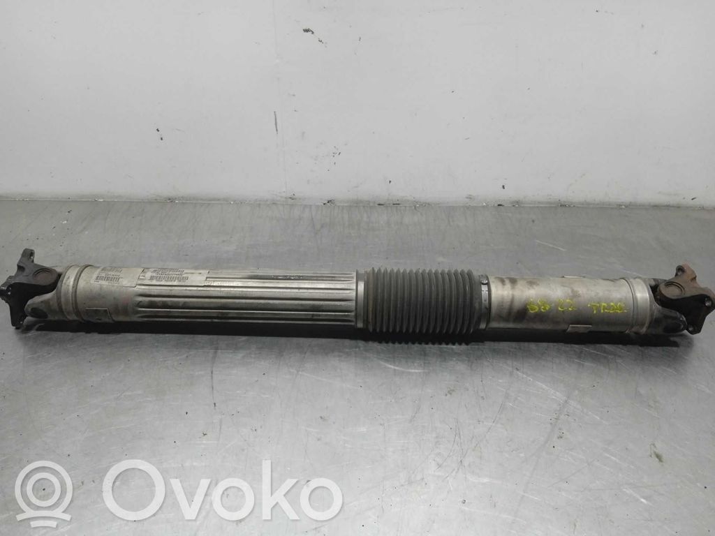 Aizmugurējā pusass   P52853369AB
