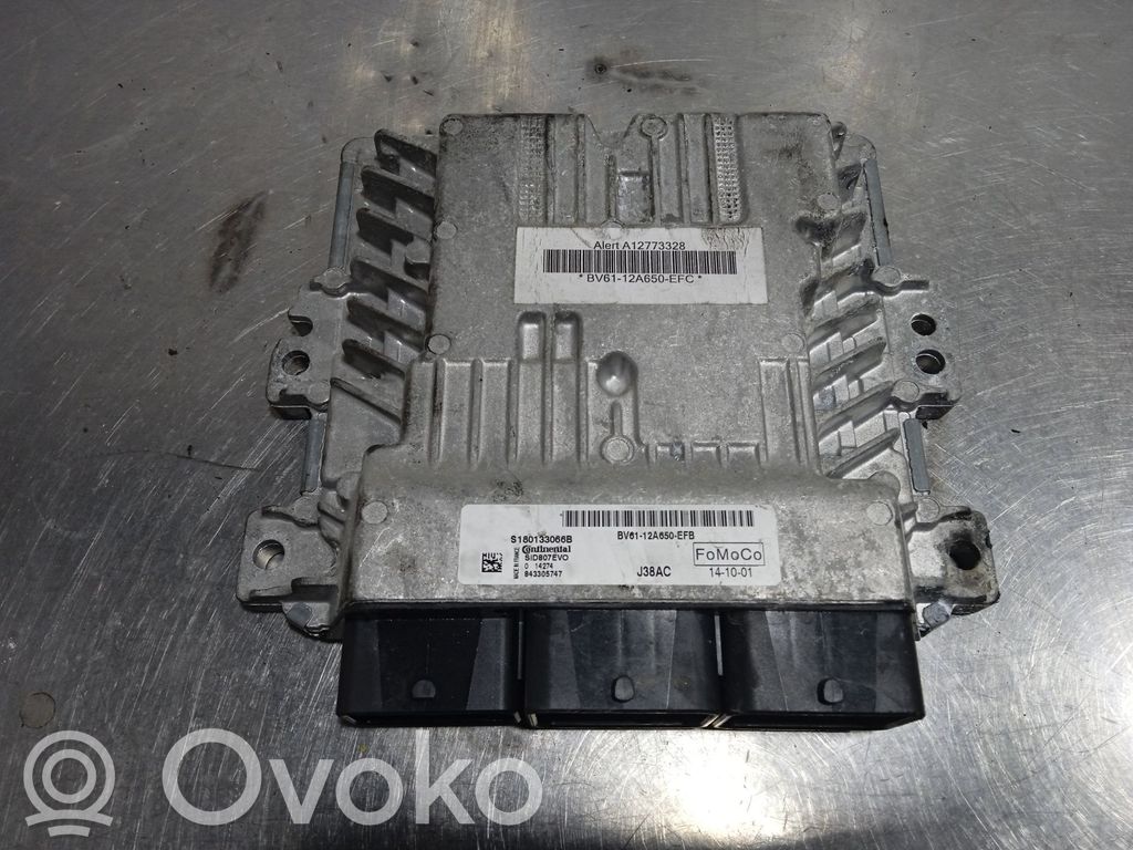 Ford Focus Engine control unit/module 