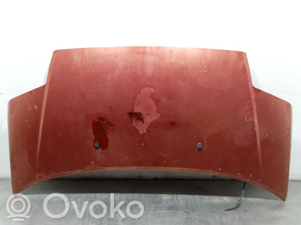 Motorhaube   7901K2