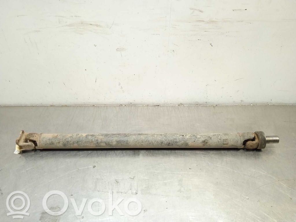 Mitsubishi Montero Planetară spate 