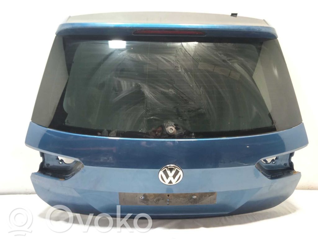 Volkswagen Tiguan Drzwi tylne 