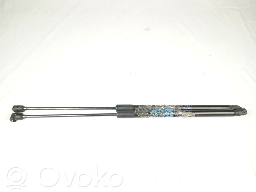 Ford Fiesta Amortizatorius galinio dangčio 