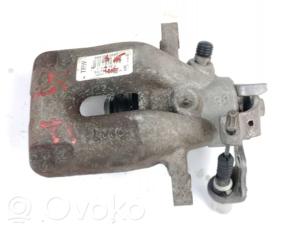 Takajarrusatula   9683853880