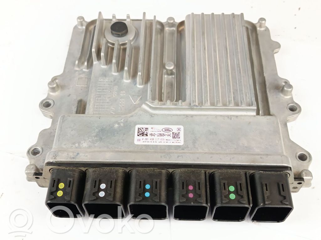 Jaguar E-Pace Engine control unit/module 
