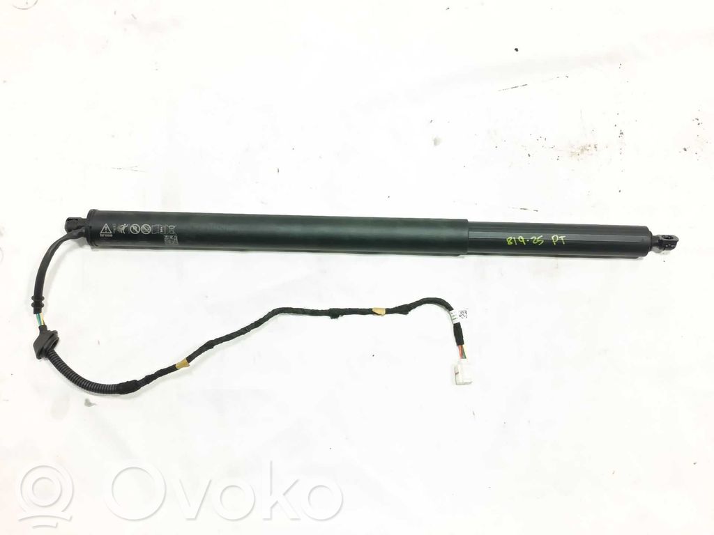 Jeep Avenger Ammortizzatore portellone posteriore/bagagliaio 