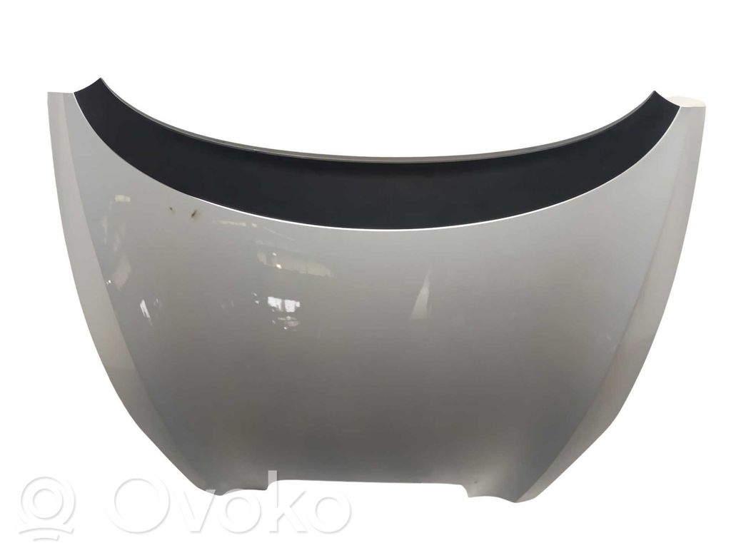Vano motore/cofano   5P0823031B
