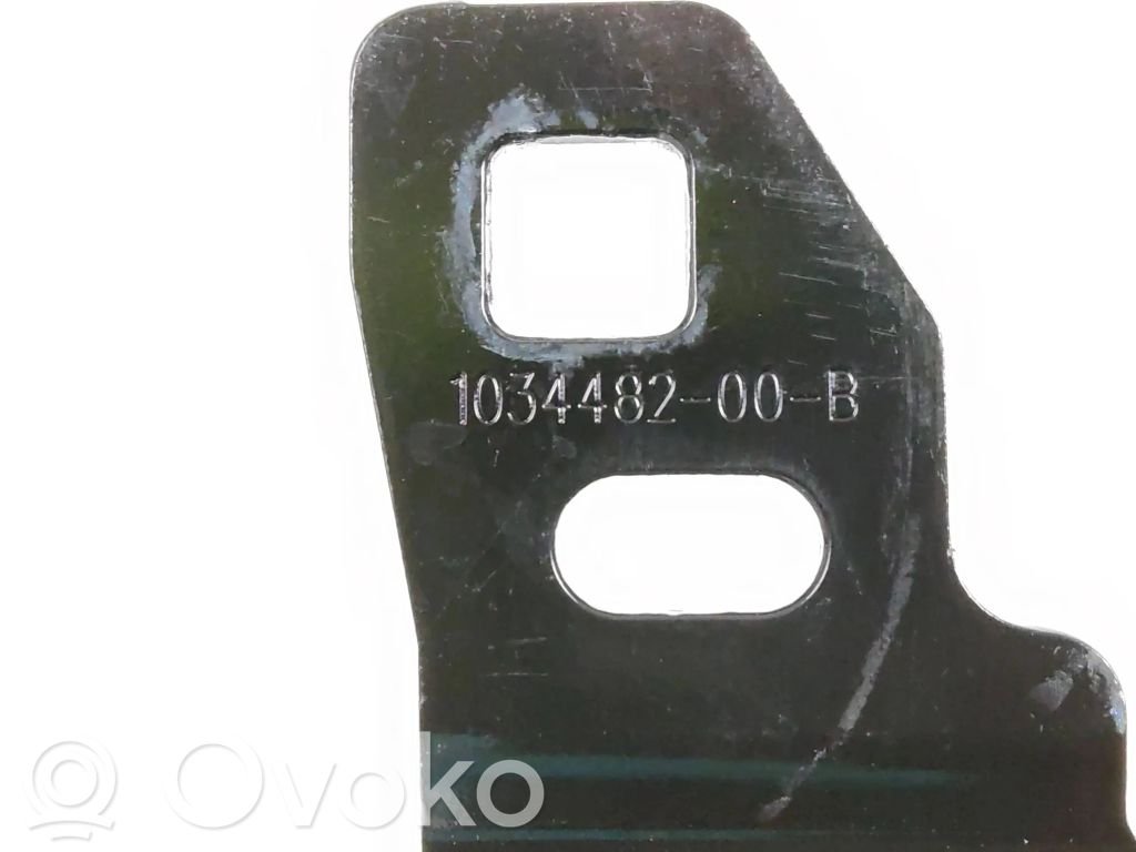 Trunk lock loop   103448200B