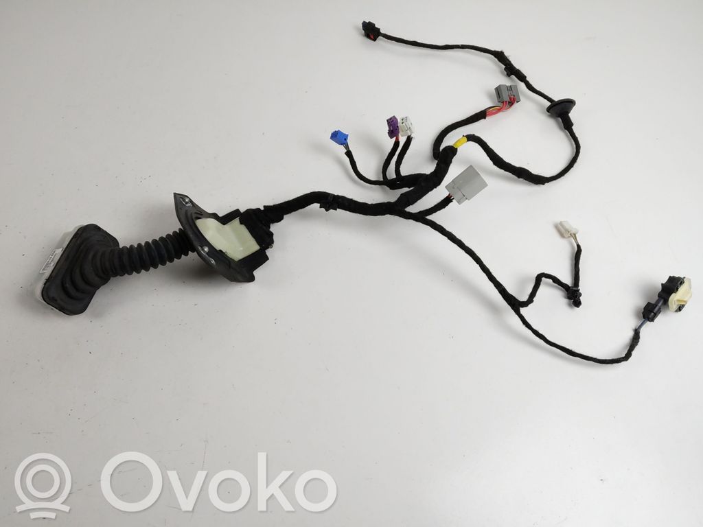 Dodge RAM Priekšējo durvju vadu instalācija 