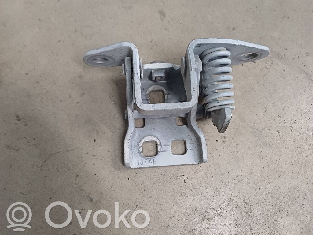 Front door lower hinge   107AE