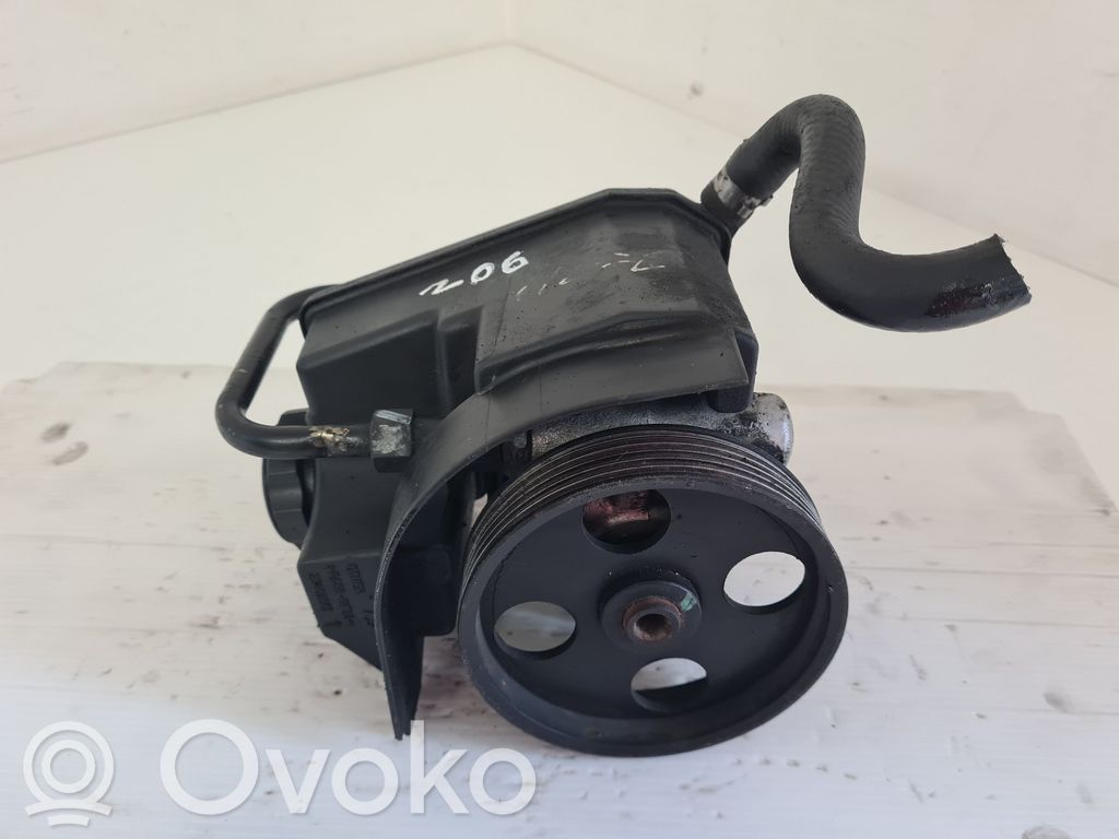 Peugeot 206 Vairo stiprintuvo siurblys 