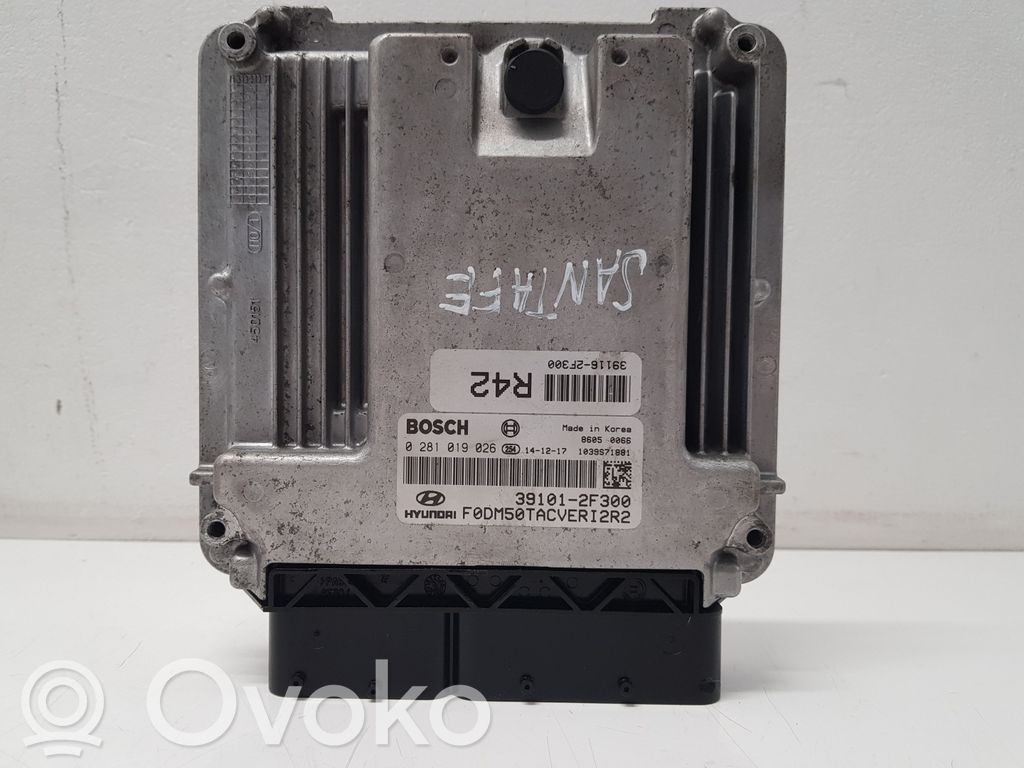 Engine control unit/module   391012F300,391162F300,0281019026