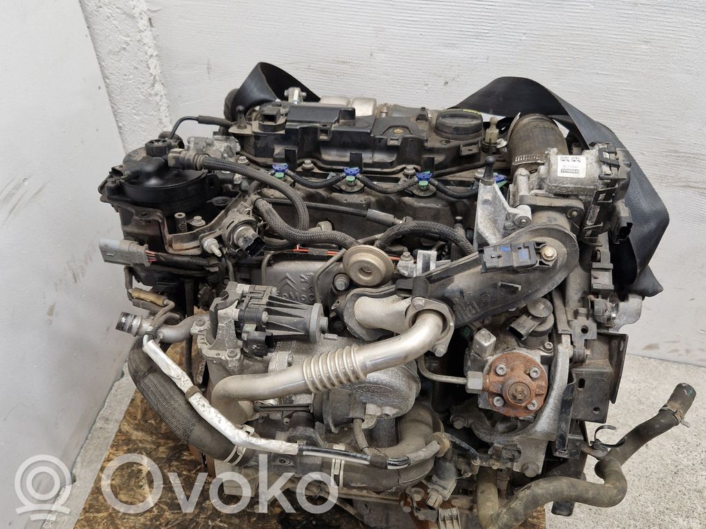 Motor   XVCC