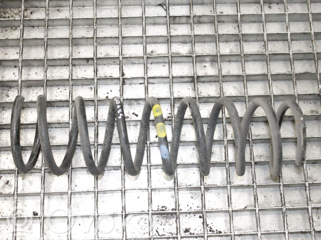 Rear coil spring