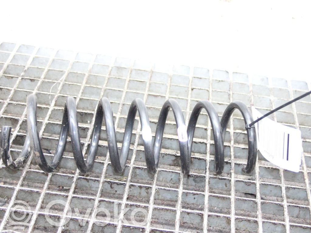 Rear coil spring