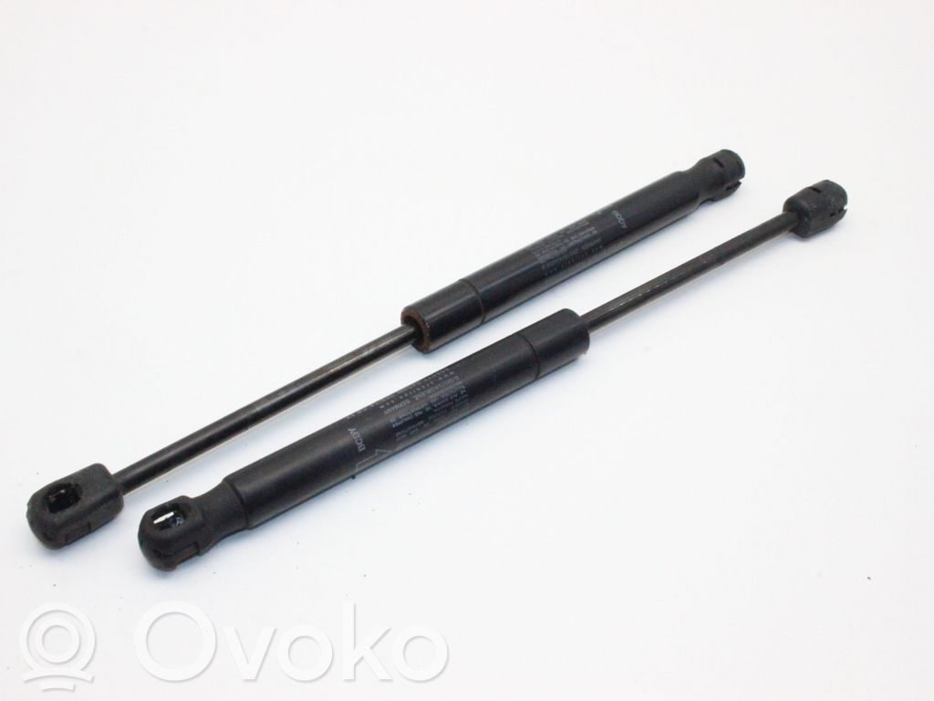 Land Rover Range Rover Evoque L538 Amortizor capotă motor 