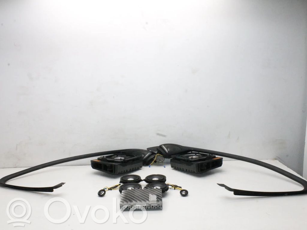 BMW X1 F48 F49 Zestaw audio 