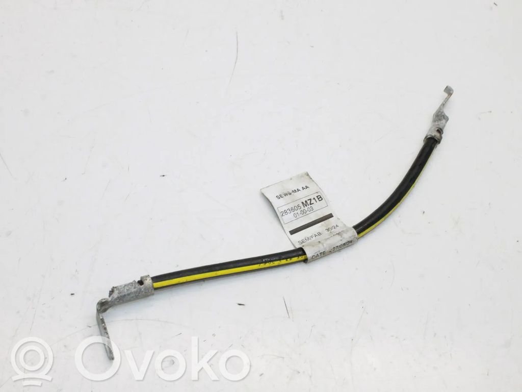 Renault Megane E-Tech Cable negativo de tierra (batería) 