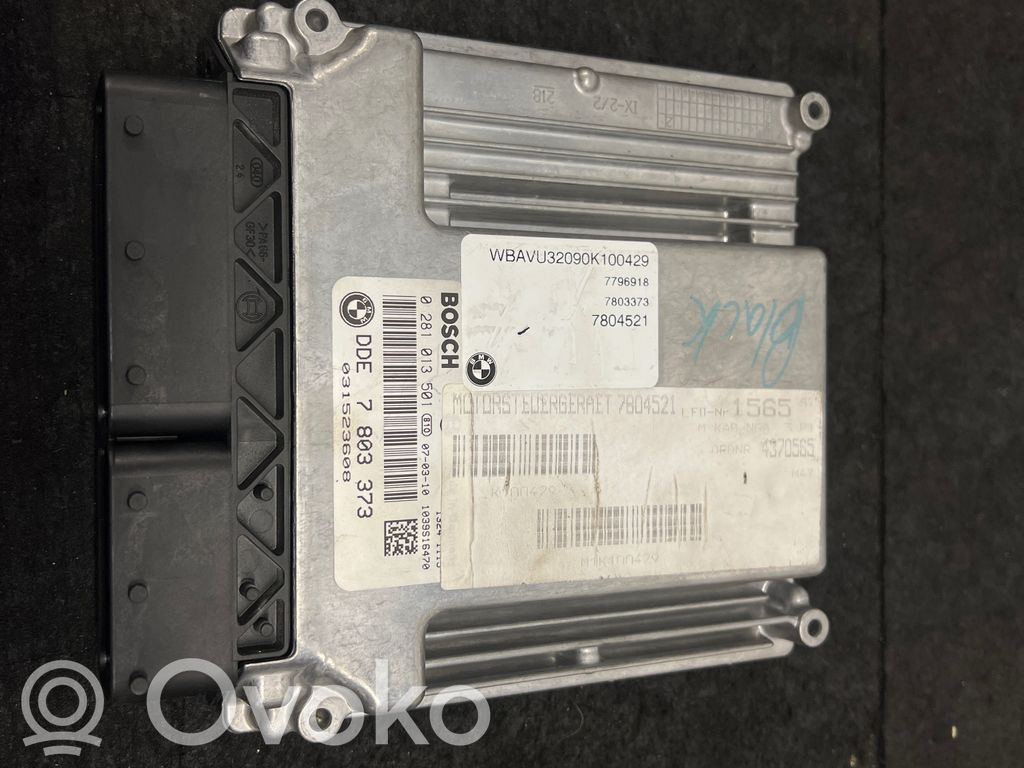 Engine control unit/module   0281013501,7803373,031523608