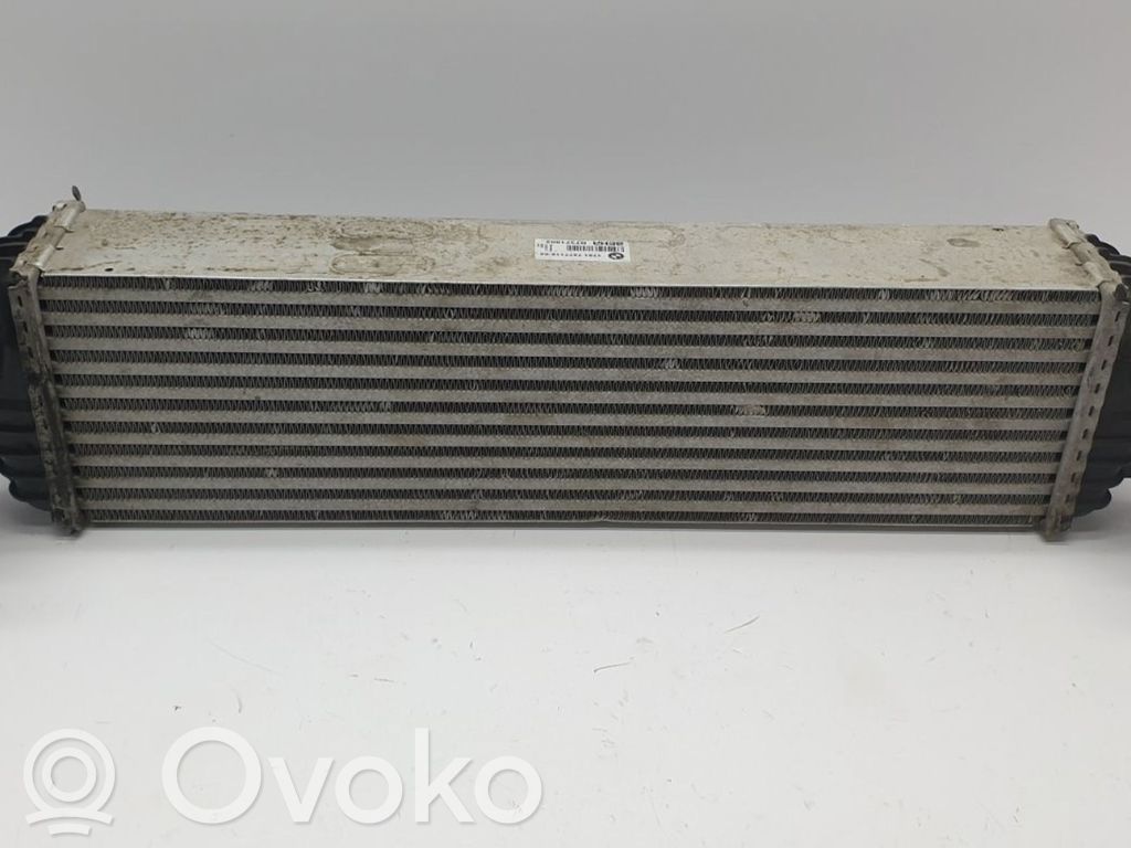 BMW 5 F10 F11 Chłodnica powietrza doładowującego / Intercooler 