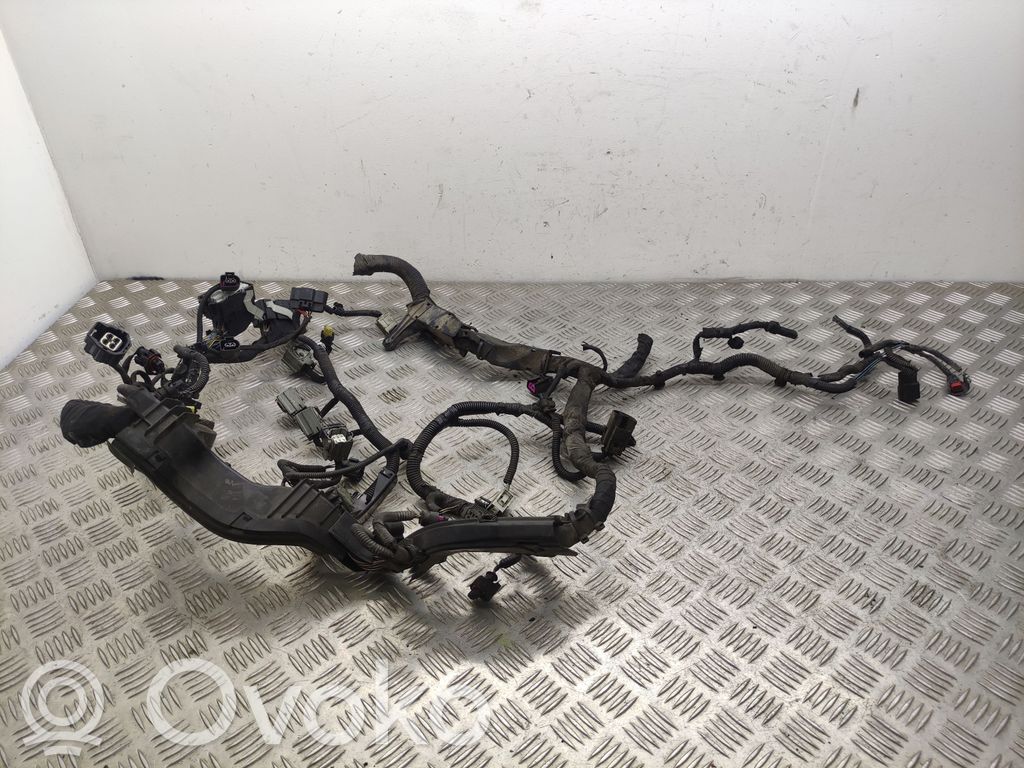 Volvo S80 Cablaj motor 