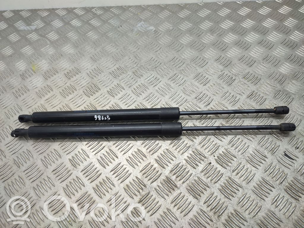 Ford Turneo Courier Tailgate/trunk strut/damper 