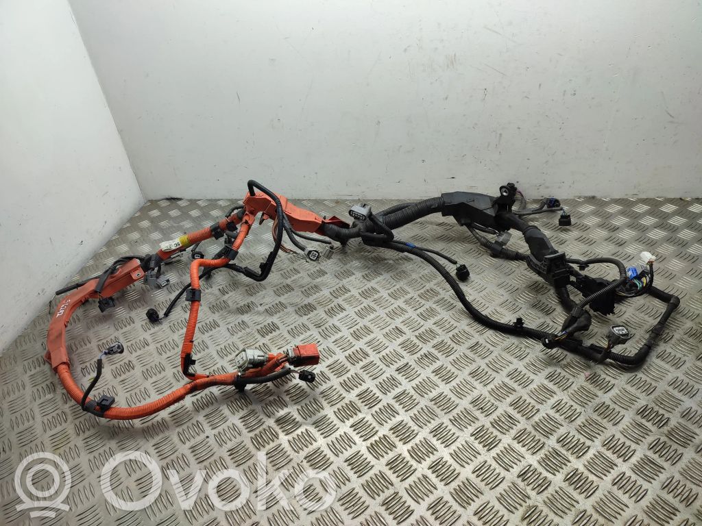 Lexus NX Wiązka przewodów silnika 