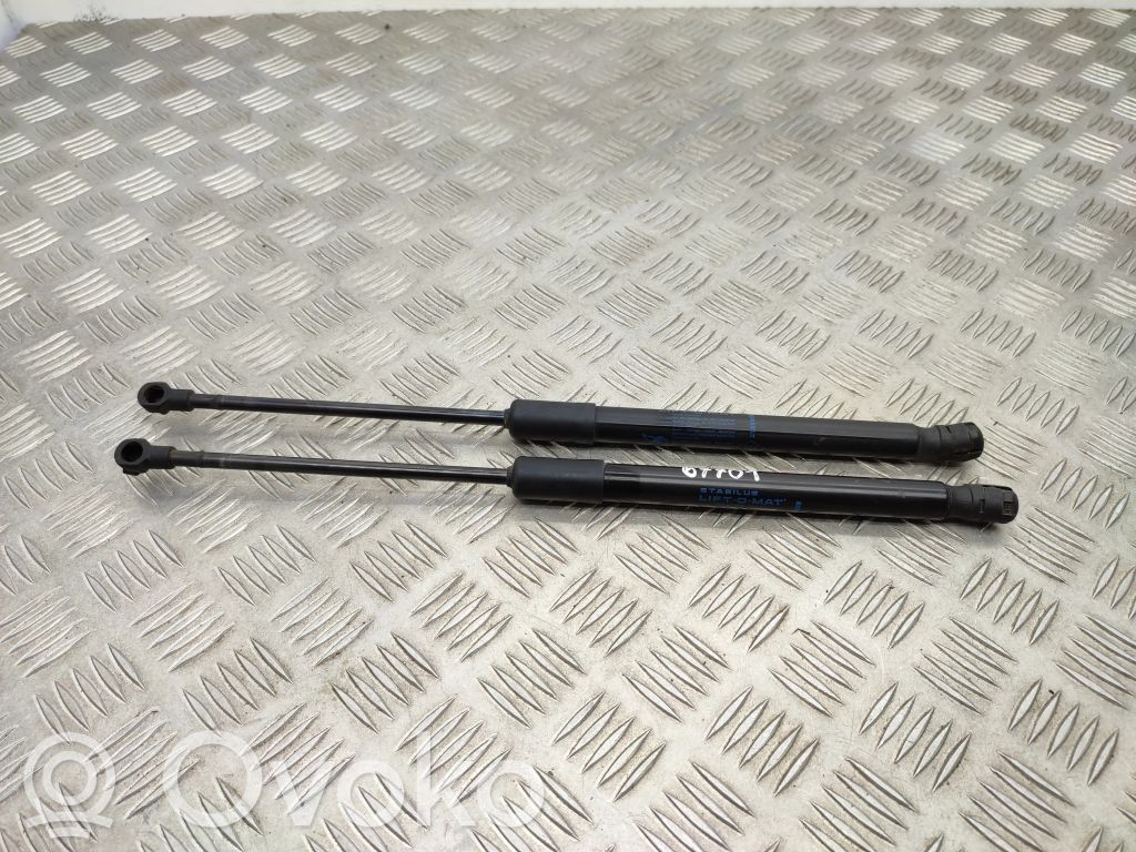 Renault Kadjar Tailgate/trunk strut/damper 