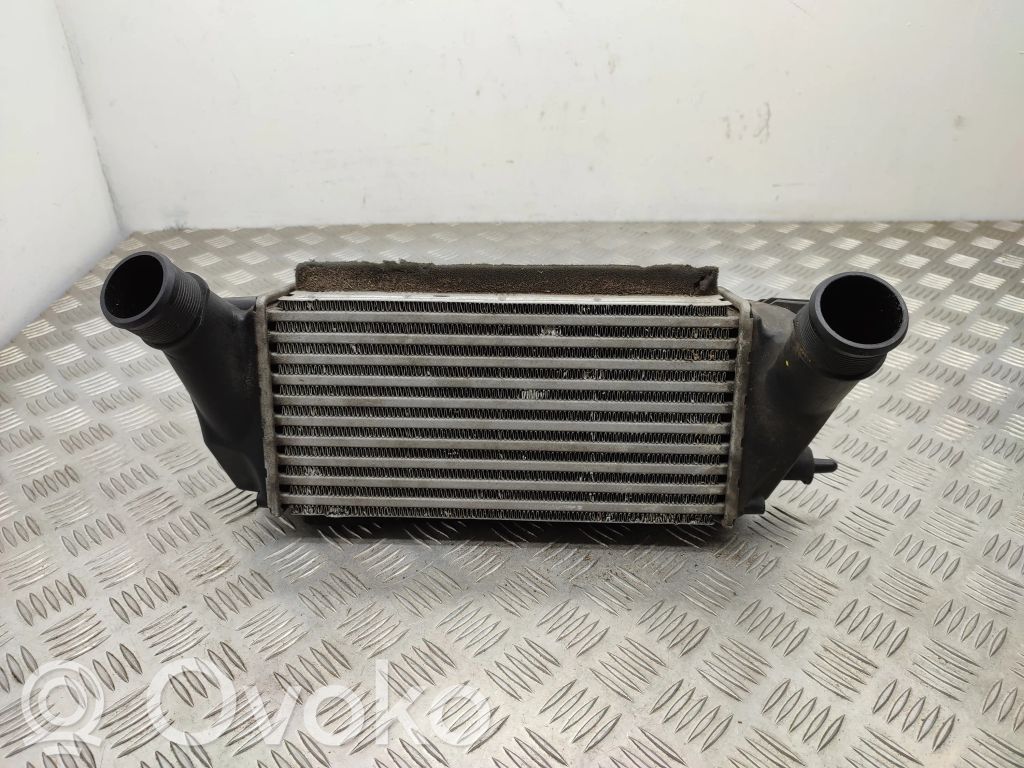 Ford B-MAX Starpdzesētāja radiators 