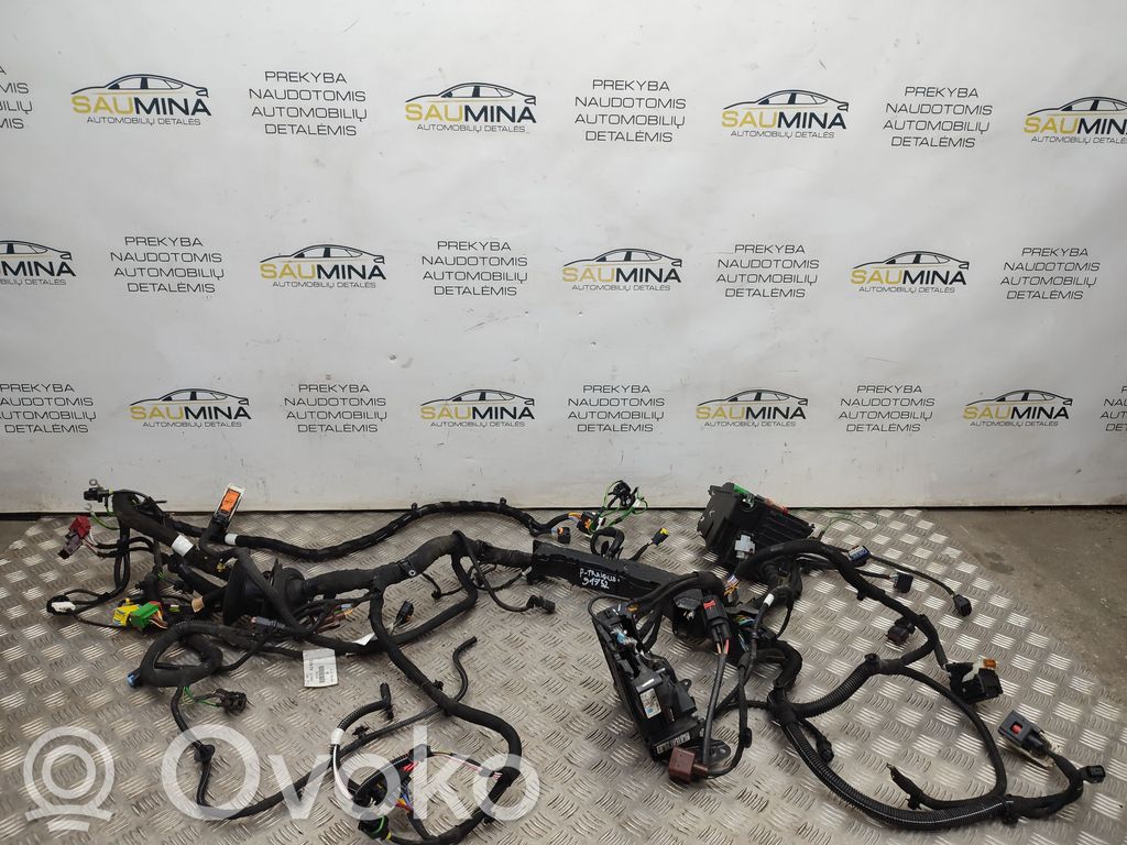 Peugeot Traveller Engine installation wiring loom 