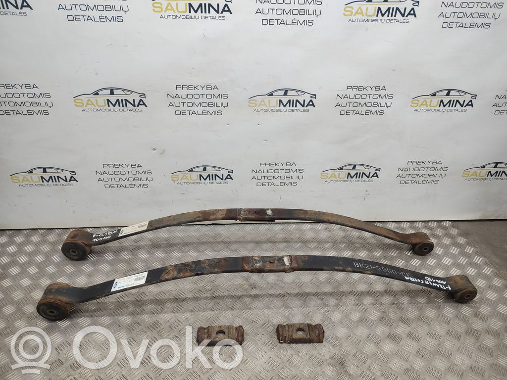 Takalehtijousi   BK215560CF