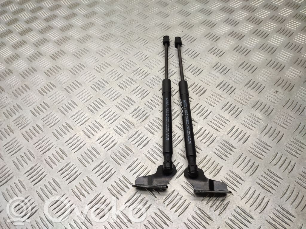 Citroen e-C3 Tailgate/trunk strut/damper 