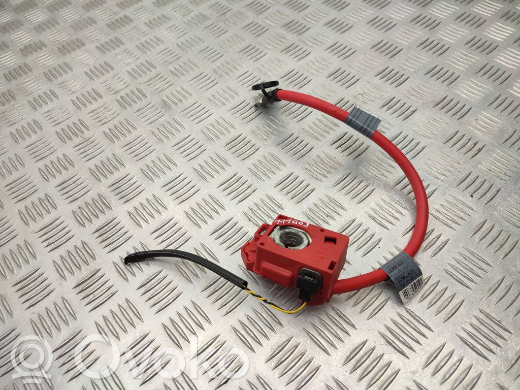 Pluskaapeli (akku)   6982227