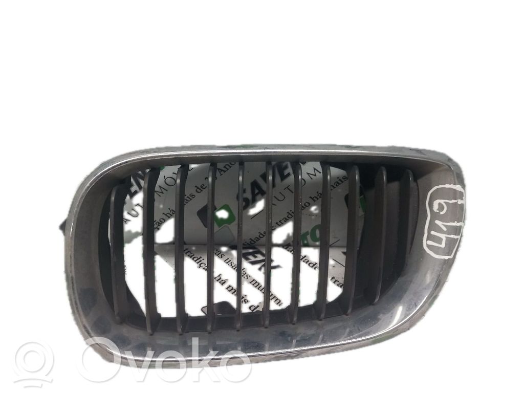 BMW 3 E46 Rejilla delantera 