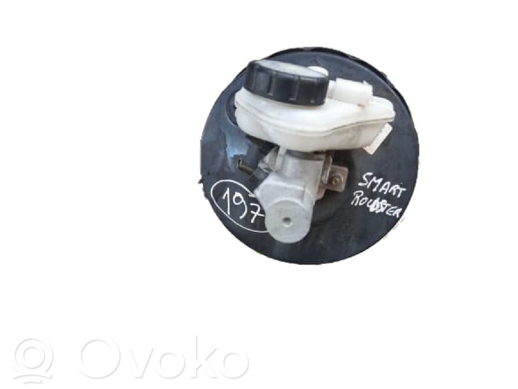 Brake booster   0009600V005