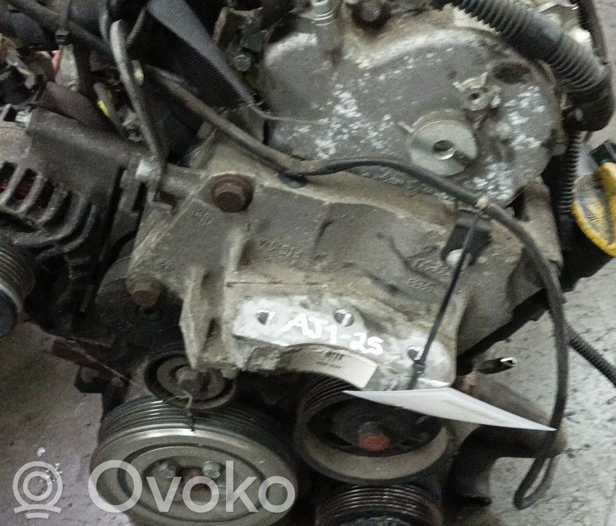 Variklis   Z13DTJ