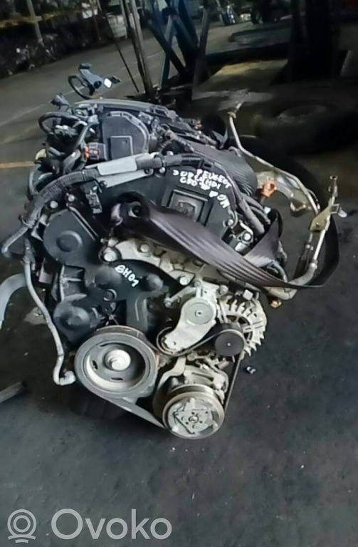 Motor   8H01