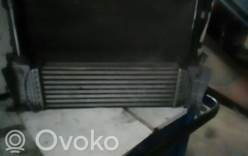 Interkūlerio radiatorius   5S6H9L440AD