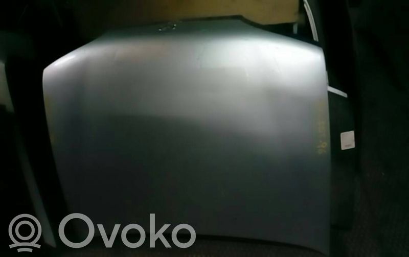 Engine bonnet/hood   CINZA