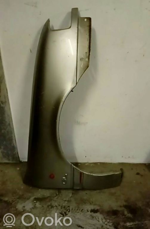 Fender