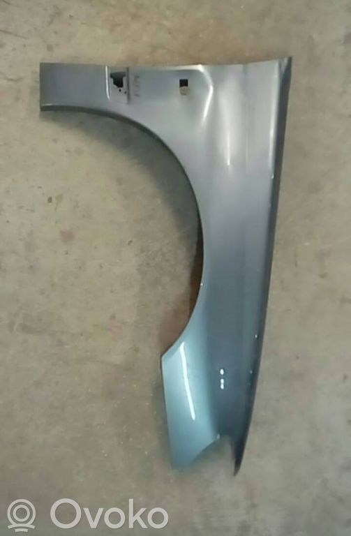 Guardabarro
