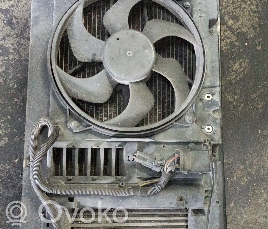 Radiatoru panelis   9653700380,BRUNO