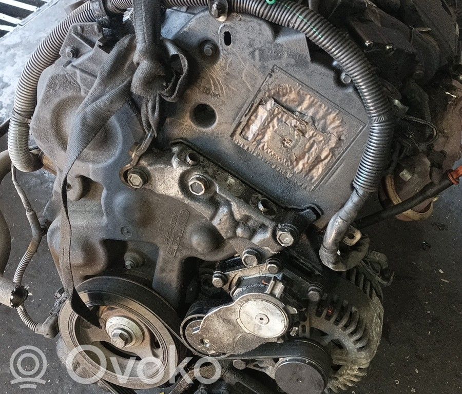 Motor   8HZ,BRUNO