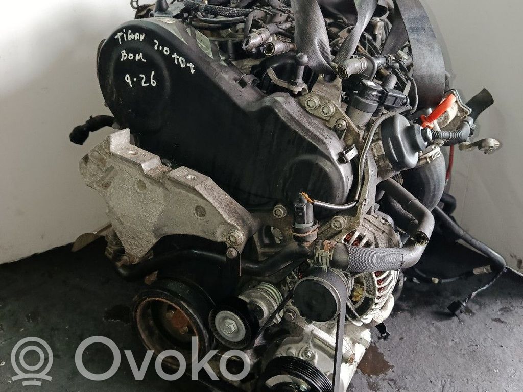 Motor   CFF,BRUNO