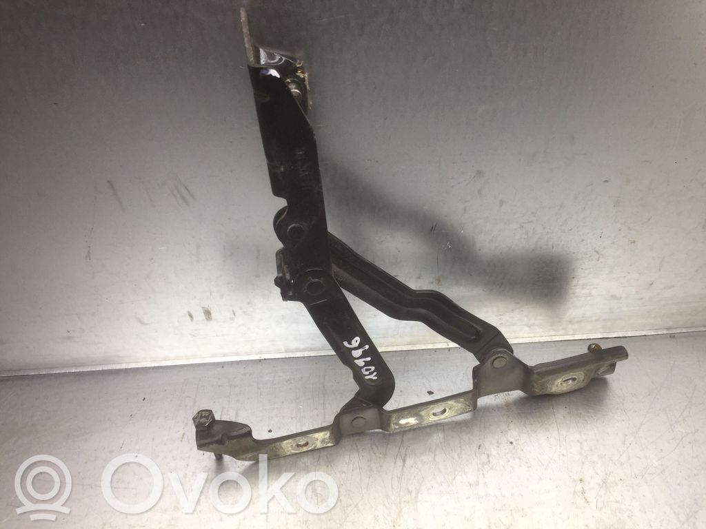 Chrysler 300 - 300C Tailgate/trunk/boot hinge 