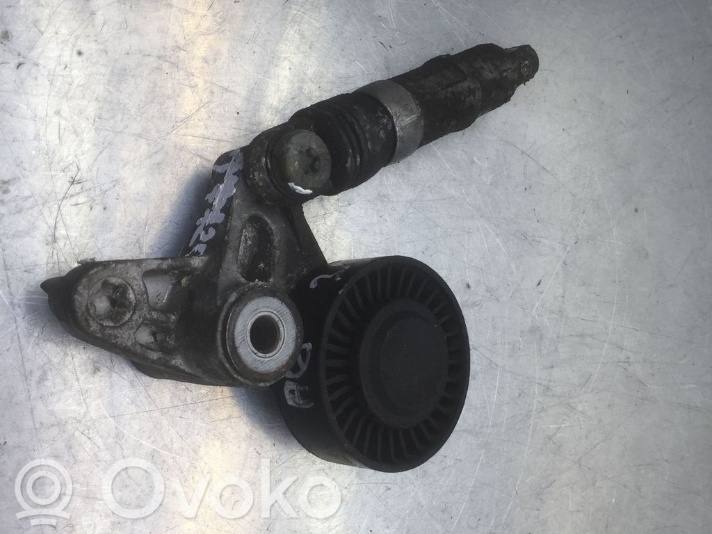 Audi A6 S6 C6 4F Diržo įtempėjas 