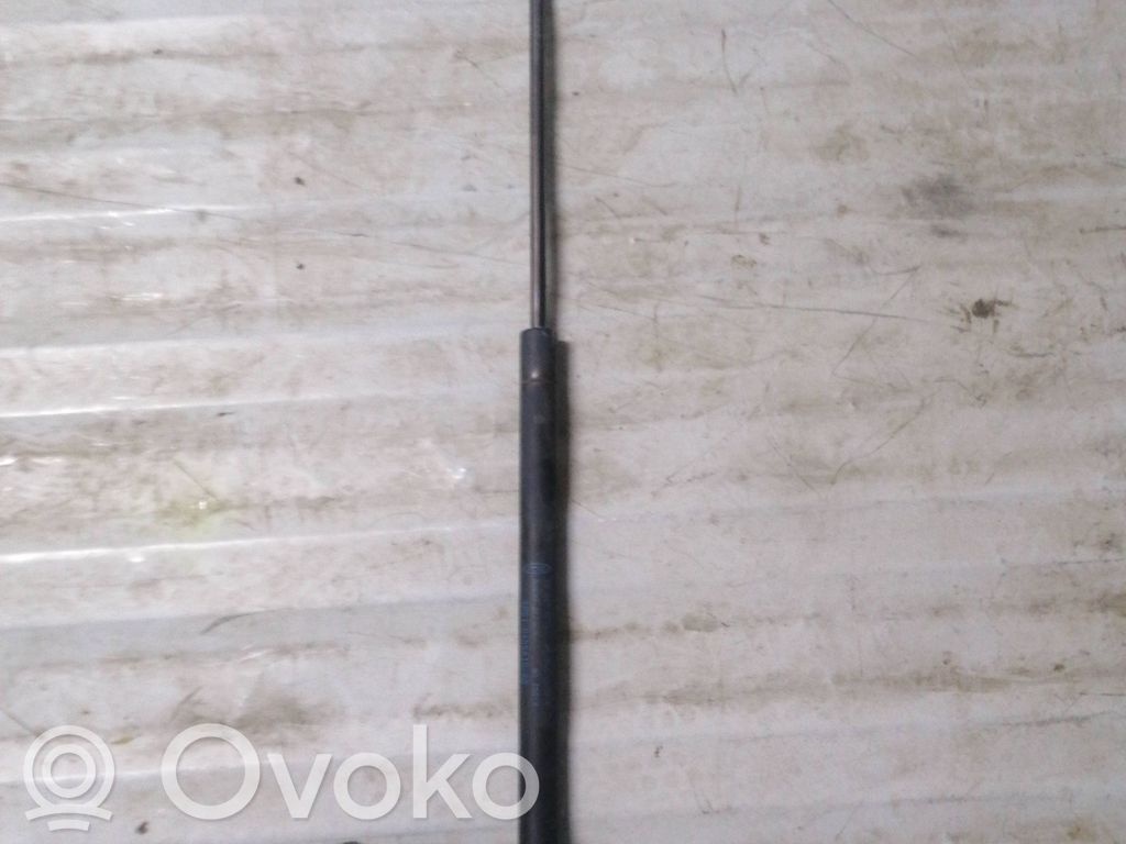 Ford Focus Tailgate/trunk strut/damper 